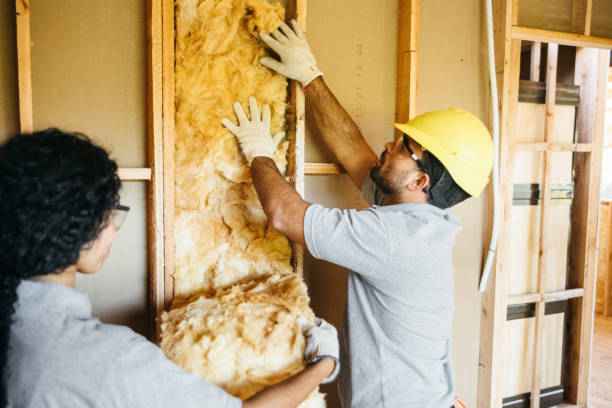 Best Insulation Inspection Services  in Otsego, MN