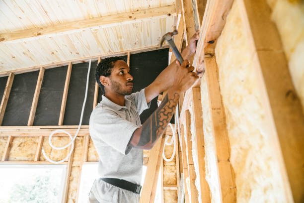 Best Affordable Insulation Services  in Otsego, MN