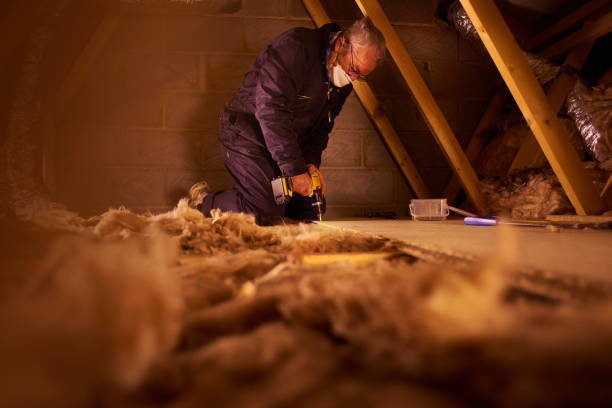 Best Energy-efficient Insulation  in Otsego, MN