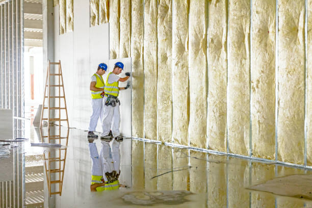 Reliable Otsego, MN Insulation Contractor Solutions